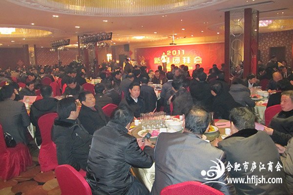 庐江县在肥举行合肥庐江籍人士迎春座谈会.png